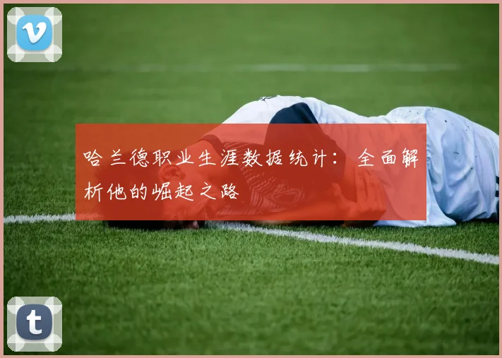 哈兰德职业生涯数据统计：全面解析他的崛起之路