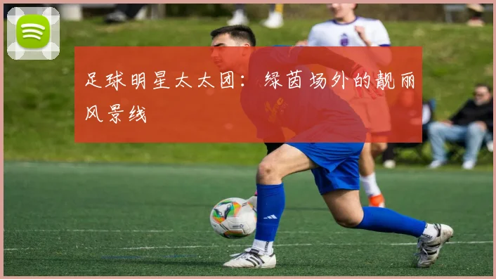 足球明星太太团：绿茵场外的靓丽风景线