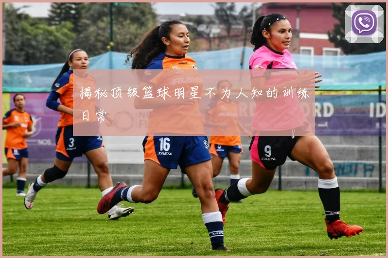 揭秘顶级篮球明星不为人知的训练日常