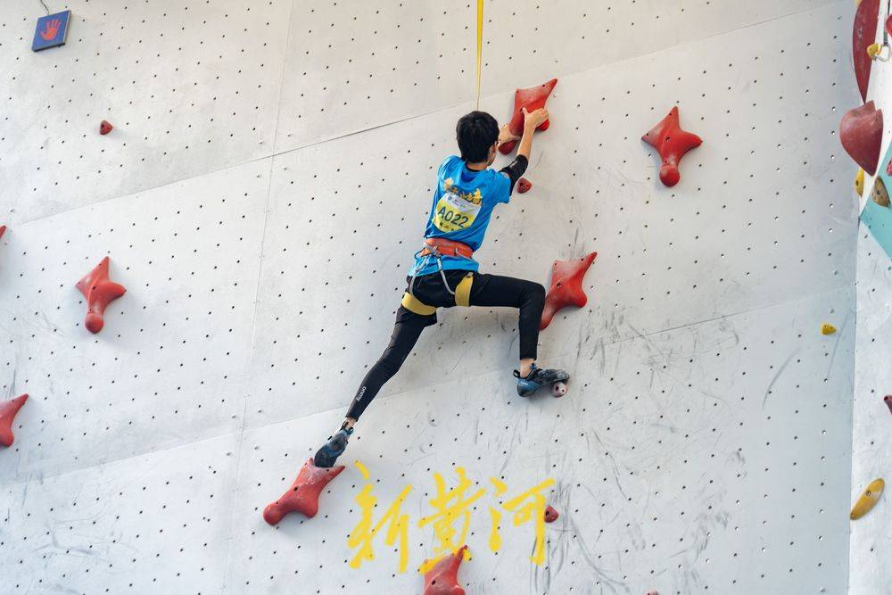 的真实性 的真实性